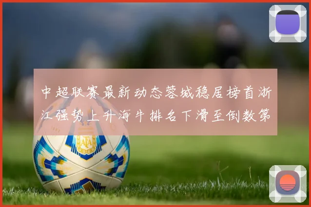 中超联赛最新动态蓉城稳居榜首浙江强势上升海牛排名下滑至倒数第三