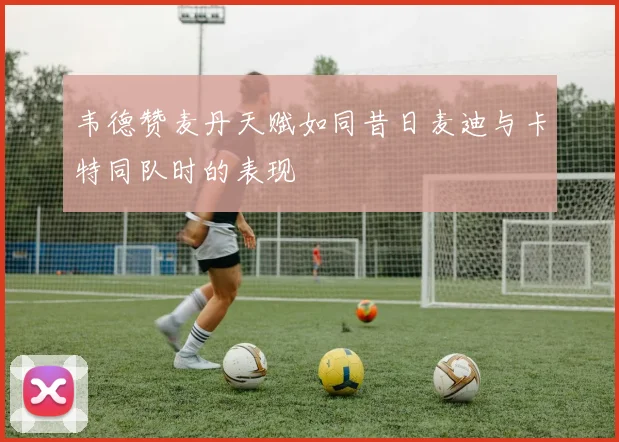 韦德赞麦丹天赋如同昔日麦迪与卡特同队时的表现