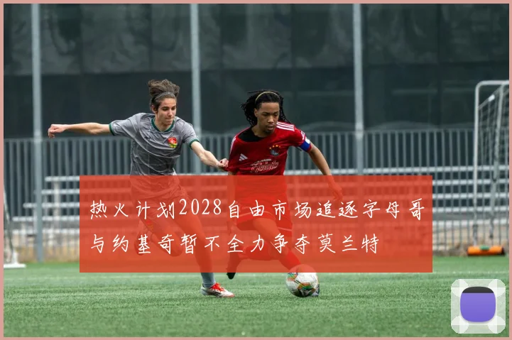 热火计划2028自由市场追逐字母哥与约基奇暂不全力争夺莫兰特